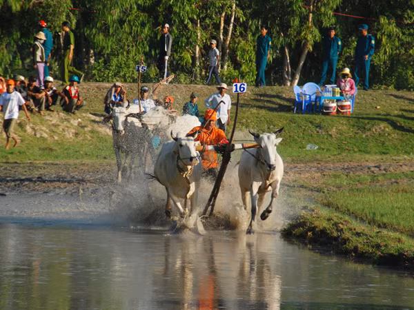 Đua nước rút. Ảnh: Trọng Thịnh