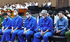 Tan cửa nát nhà vì lời trấn an ‘của Shark Bình đó, yên tâm mà nạp’