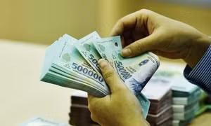 Truy tố người phụ nữ làm giả giấy tờ vay vốn chiếm đoạt tiền của ngân hàng