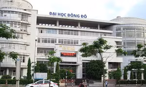 Nữ cán bộ Đại học Đông Đô 'lừa' sinh viên nộp 1,9 tỷ đồng mở lớp học nhưng không được cấp bằng