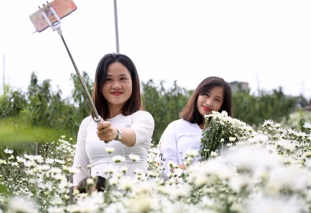 Rất nhiều người không chuẩn bị được áo dài mang theo nên đã thuê ngay tại vườn cúc với giá từ 70.000 - 100.000 đồng/ bộ.