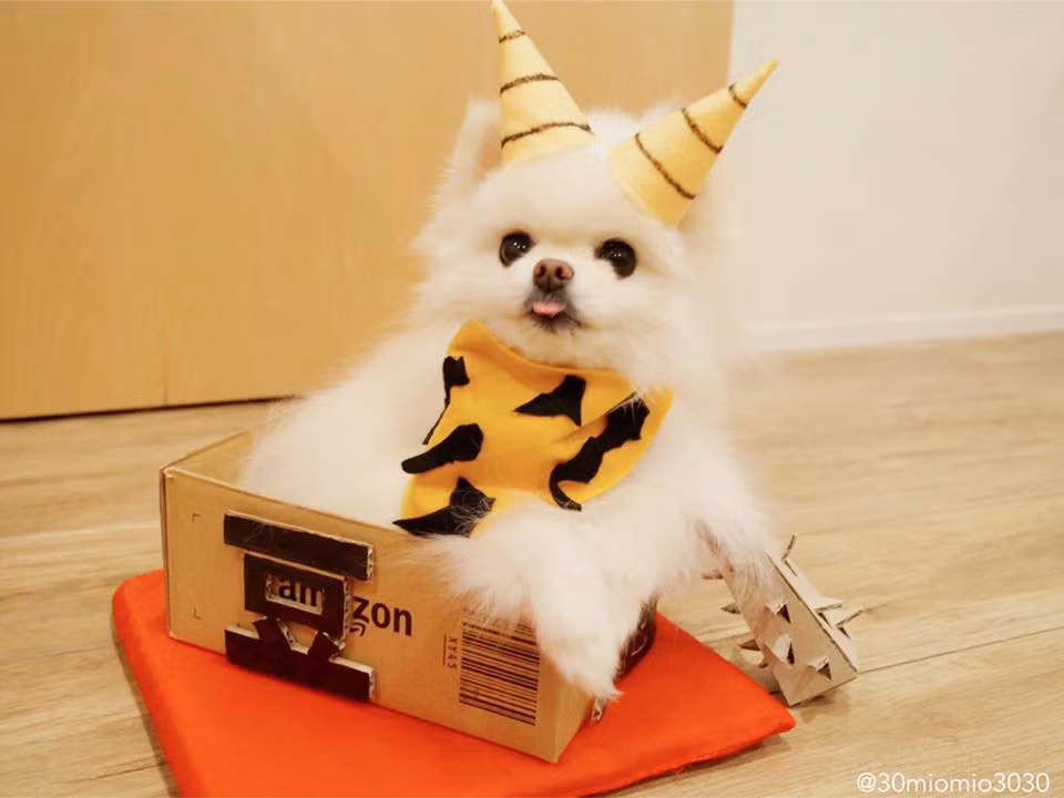 Cún cưng xinh yêu nên làm gì cũng dễ thương hết đó!