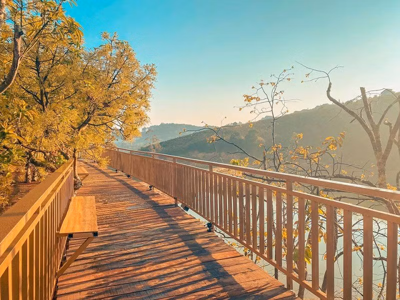 Khung cảnh lãng mạn của con đường tình yêu.