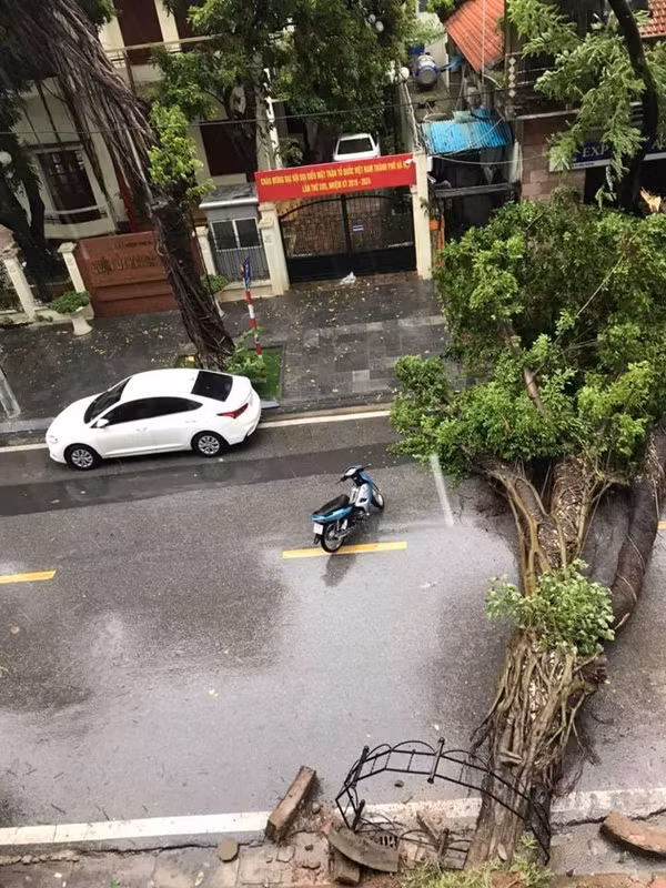 Phố Tô Hiến Thành. (Ảnh: Minh Duc)