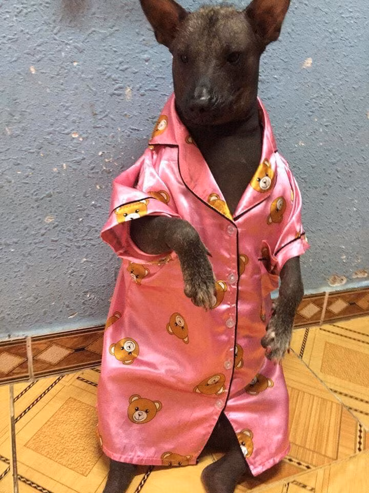 Em có quyền điệu nhé!