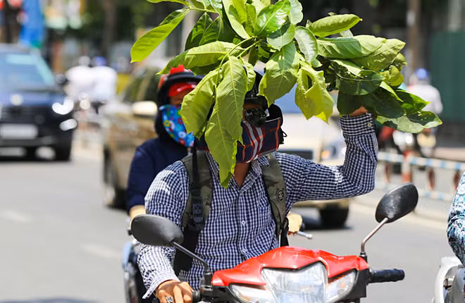 TP HCM đang ở đợt nắng nóng cao điểm.