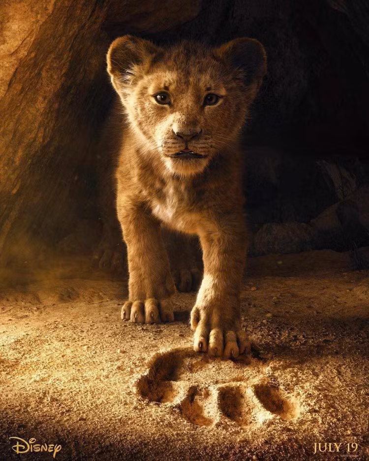 "Lion King" bản live-action tung trailer: Tưởng không hay mà hay không tưởng! ảnh 1