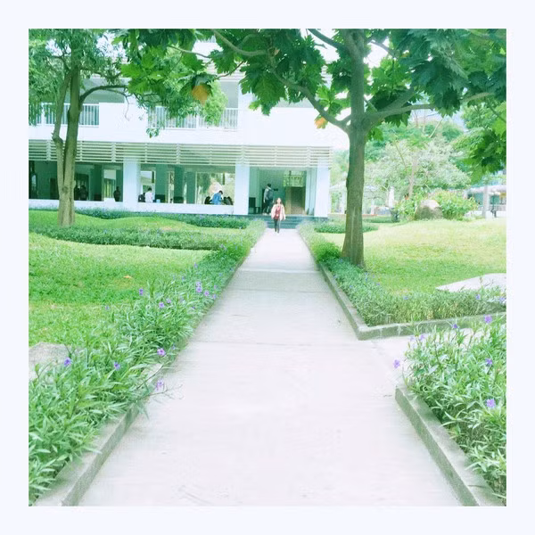 Hay con đường nối dài thật dài từ cổng trưởng đến lớp học mà mỗi ngày chúng ta đi qua?