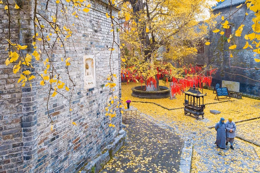Ảnh: China Daily.