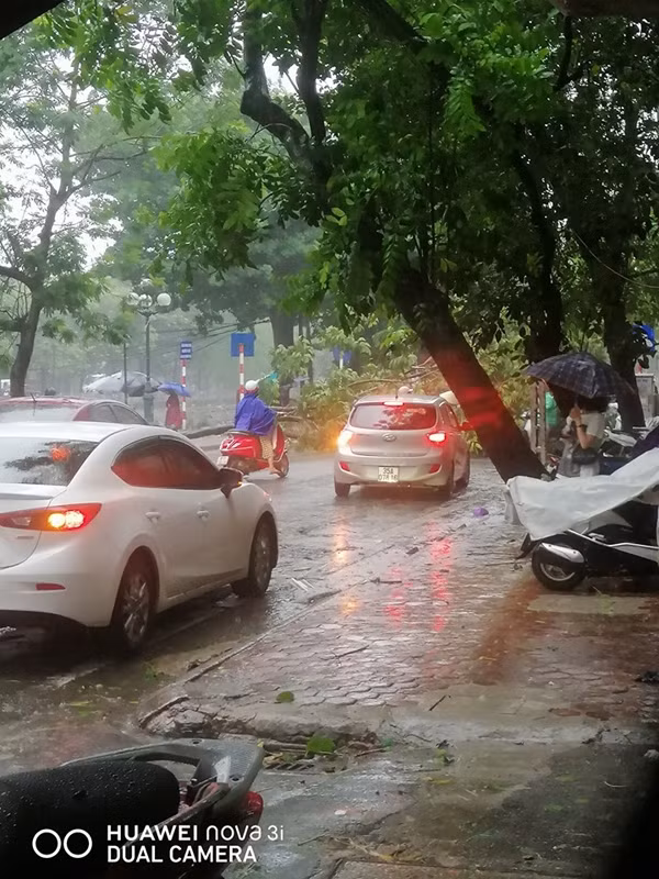 Đường Kim Ngưu. (Ảnh: Nguyễn Hoài Thương)
