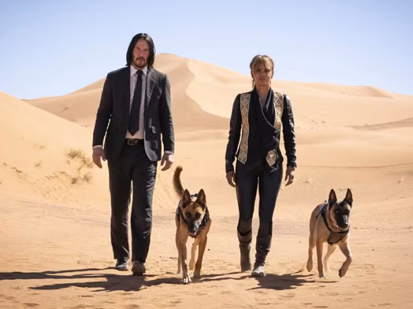 “John Wick 4” còn đang bị hoãn chiếu vì COVID-19, nhà sản xuất đã tính làm tiếp phần 5 ảnh 5