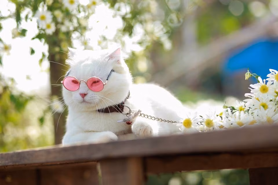 Deep nốt tấm cuối rồi về ăn còn bổ sung năng lượng nha "sen"!