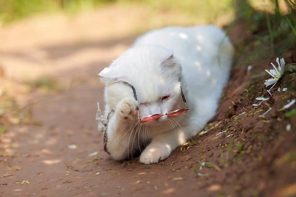 Nhiều bạn đi chụp hoa mà phá hoại luống quá nè!