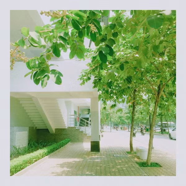 Bởi vốn dĩ, “Khi ta ở, chỉ là nơi đất ở, khi ta đi đất bỗng hóa tâm hồn”.