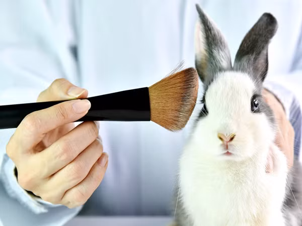 Thỏi son bạn đang dùng có "bức tử" chú thỏ nào không? ảnh 1