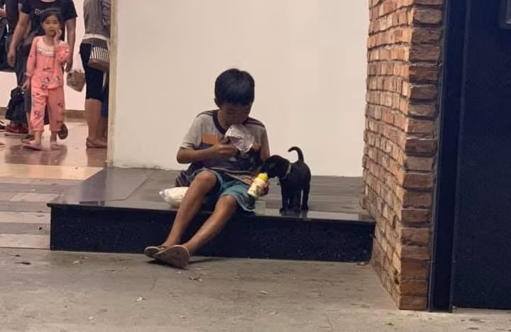 Chỉ cần bên nhau lúc khó khăn, vậy đã là một điều may mắn.