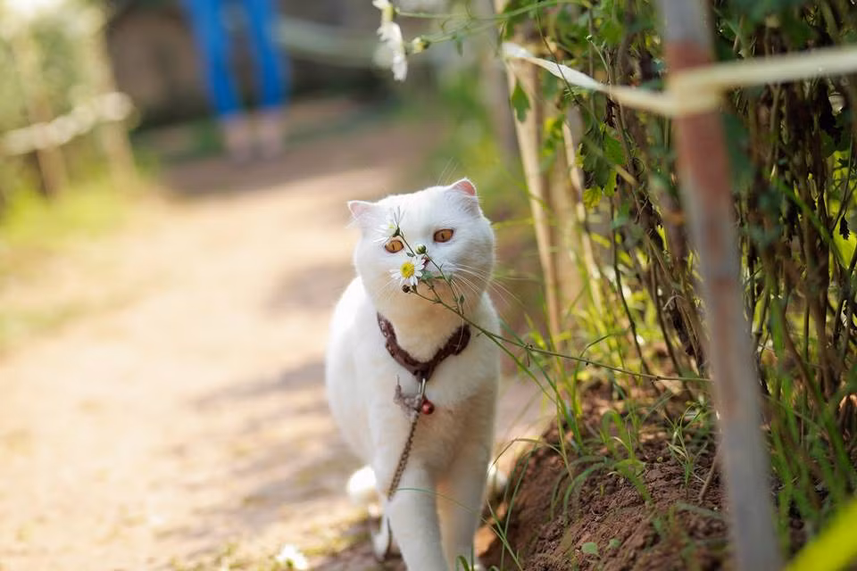 Duyên dáng một chút với cành hoa xinh!