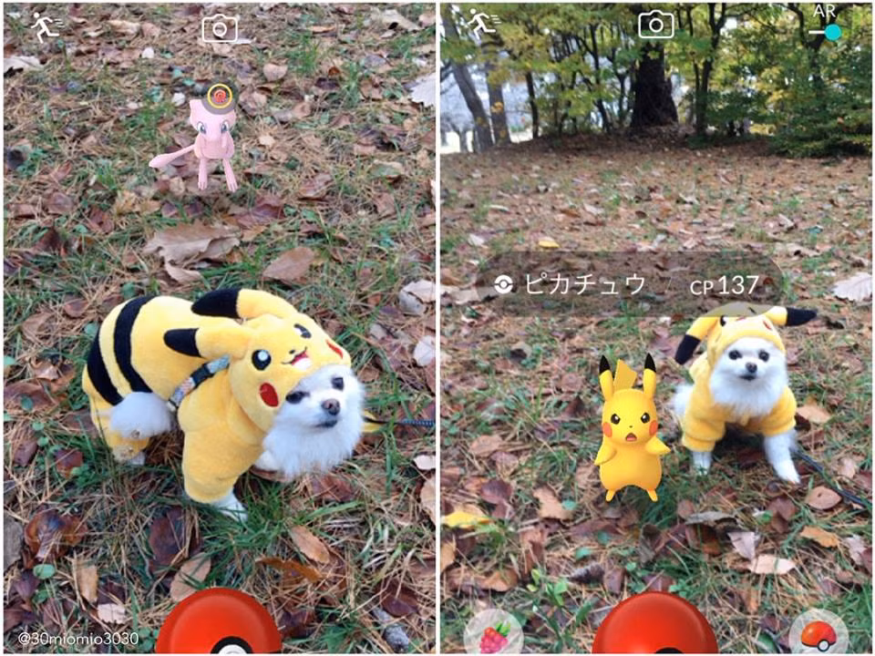 Pikachu biến hình, dù vào vai nào chú cún này cũng rất đáng yêu và hóa thân "so deep" luôn nhé!