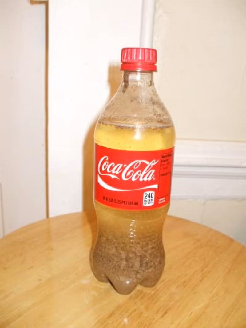 Chất kết tủa từ sữa và Coca sau 6h ở các thí nghiệm.