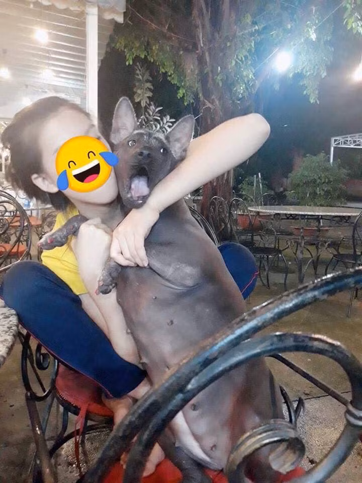 Tạo dáng hài hước cùng chủ nhân.