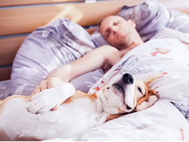 Loài chó đích thị đến từ sao Hỏa, loài mèo chắc chắn đến từ sao Kim ảnh 15