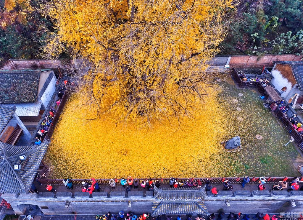 Ảnh: China Daily.