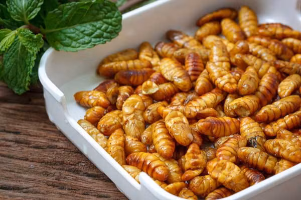 6 món ăn của Việt Nam được thế giới đánh giá là "kỳ lạ rất đáng trải nghiệm" ảnh 5