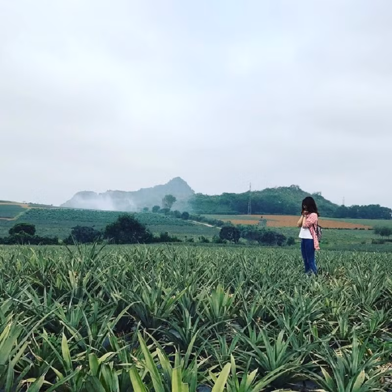 Bức tranh phong thủy với tông màu xanh mát, trong trẻo và yên bình thu hút các bạn trẻ không chỉ tới check-in mà còn để chụp cả... ảnh cưới. (Ảnh: Checkin VietNam)
