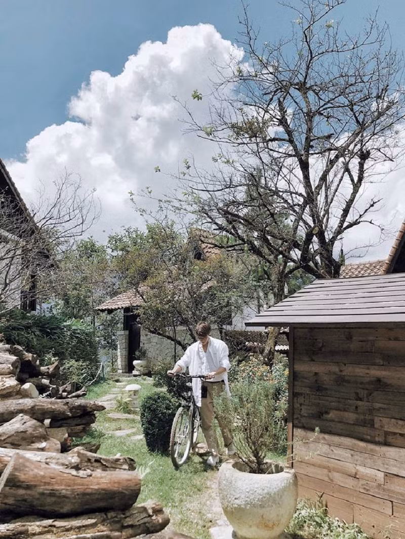 Trong ngày thứ hai, Doãn Bắc đã có cả nghìn bức ảnh sống ảo tại Sapa Jade Hill (cách Thị trấn khoảng 4km) với vé tham quan 150.000 đồng/người.