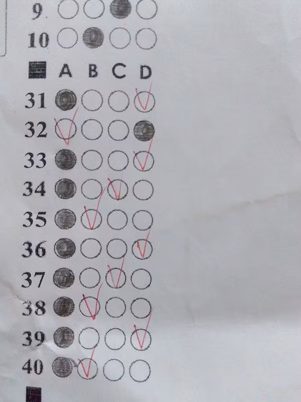 Anh đã không chọn thì thôi một khi đã chọn chỉ có sai trở lên. (Ảnh: Hồng Nha Trần)