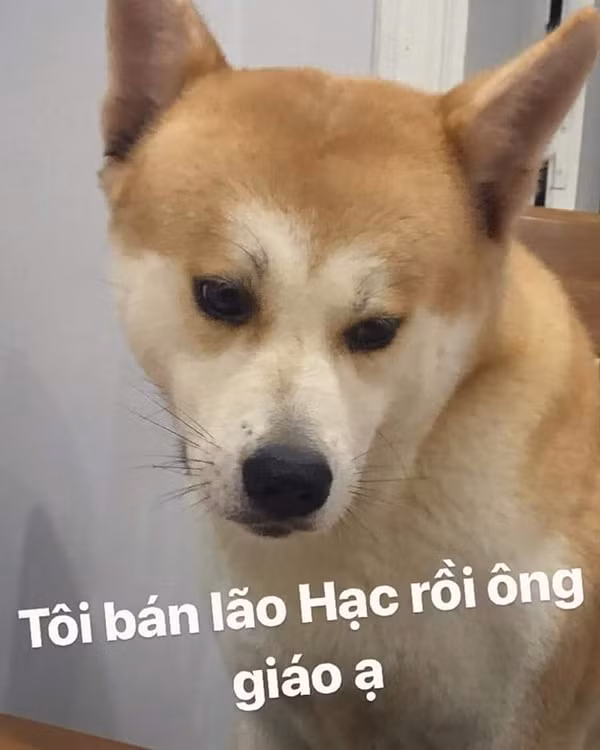 Ảnh: Facebook.