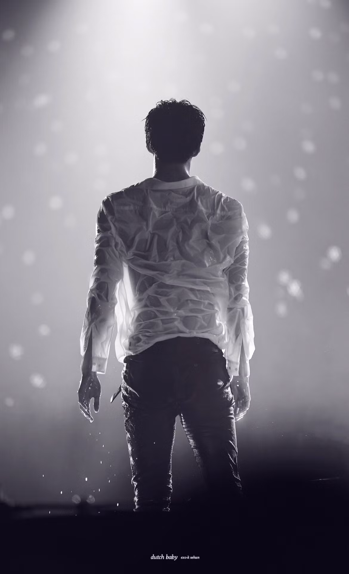 Đâu phải EXO-L, fan nào cũng đứng hình khi ngắm Sehun từ phía sau như thế này.