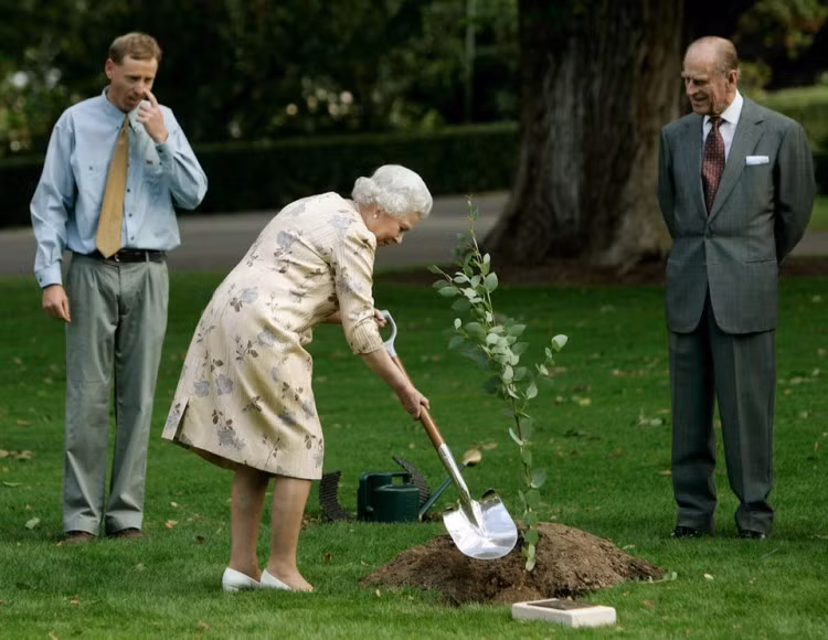Làm vườn cũng không phải ngoại lệ. Ảnh: Reuters/Will Burges.