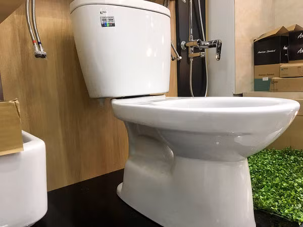 Nên đậy nắp bồn cầu khi xả nước để hạn chế vi khuẩn phân tán không khí. (Internet)