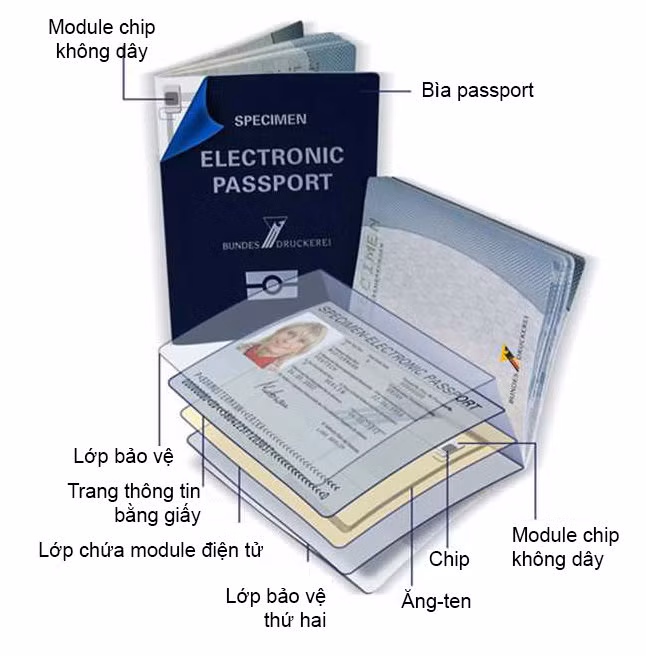 Các thông tin có trong hộ chiếu điện tử. (Ảnh: MK Smart)
