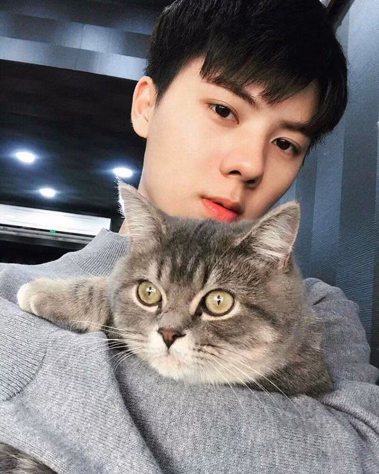 "Fan-boy" thành công nhất "hệ mặt trời": Nhìn y hệt idol Sehun (EXO) ảnh 4