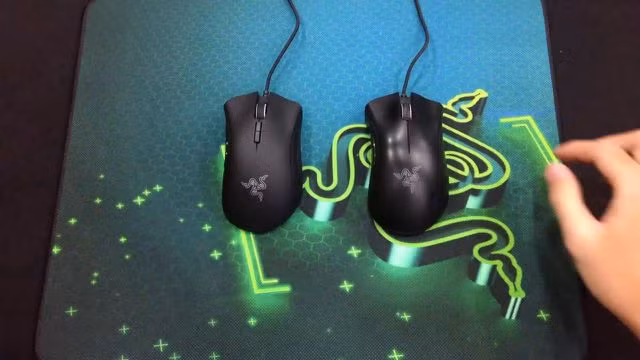 Con chuột máy tính Razer.