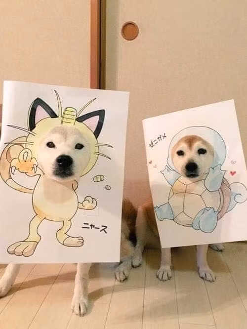 Có đôi có cặp cho vui nè...
