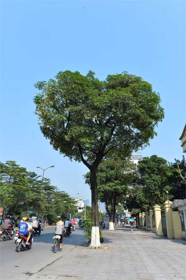 Bức ảnh gốc được anh Giang chia sẻ.