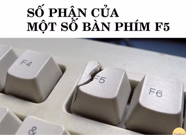 Phím được sử dụng nhiều nhất trong ngày hôm nay là... F5.