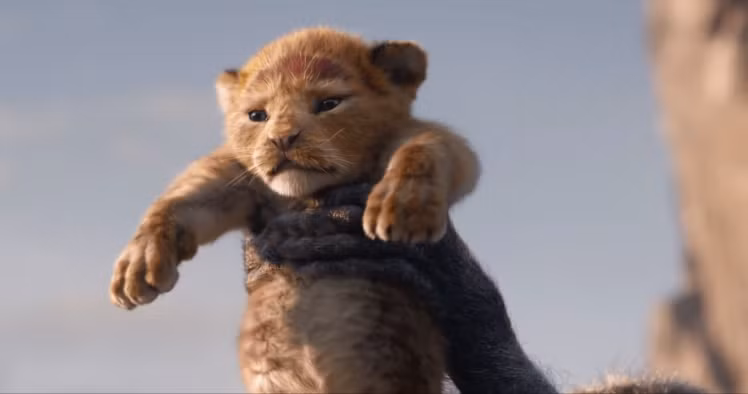 "Lion King" bản live-action tung trailer: Tưởng không hay mà hay không tưởng! ảnh 3