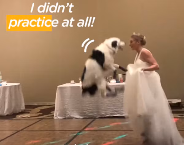Hero vô cùng thích thú khi được nhảy với mẹ.
