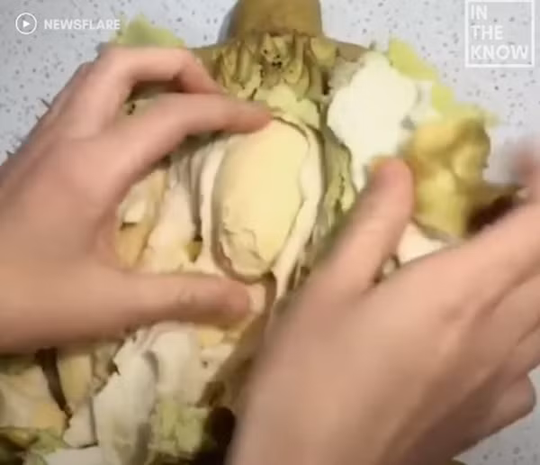Những múi sầu riêng thơm ngon đây rồi.