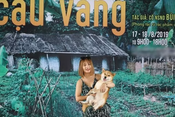 Chú chó tên Vàng thuộc giống Shiba Inu đã được lựa chọn để đảm nhận vai chính.