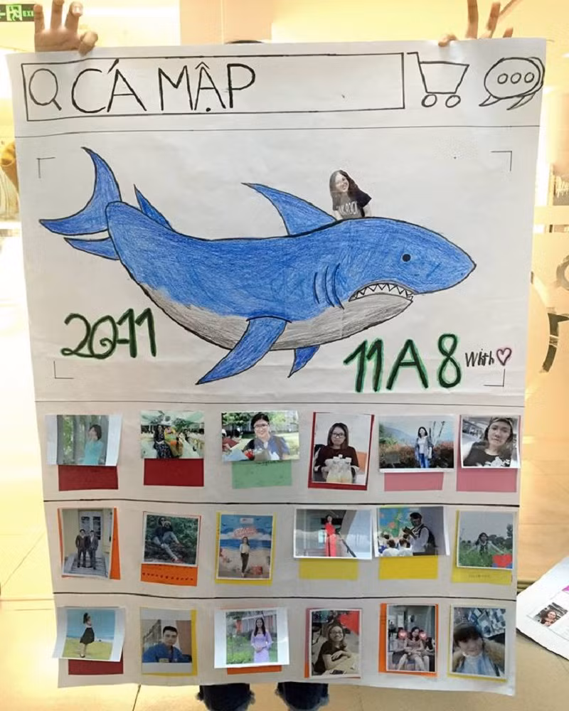 Ai lại ví thầy cô như các "Shark" bao giờ.