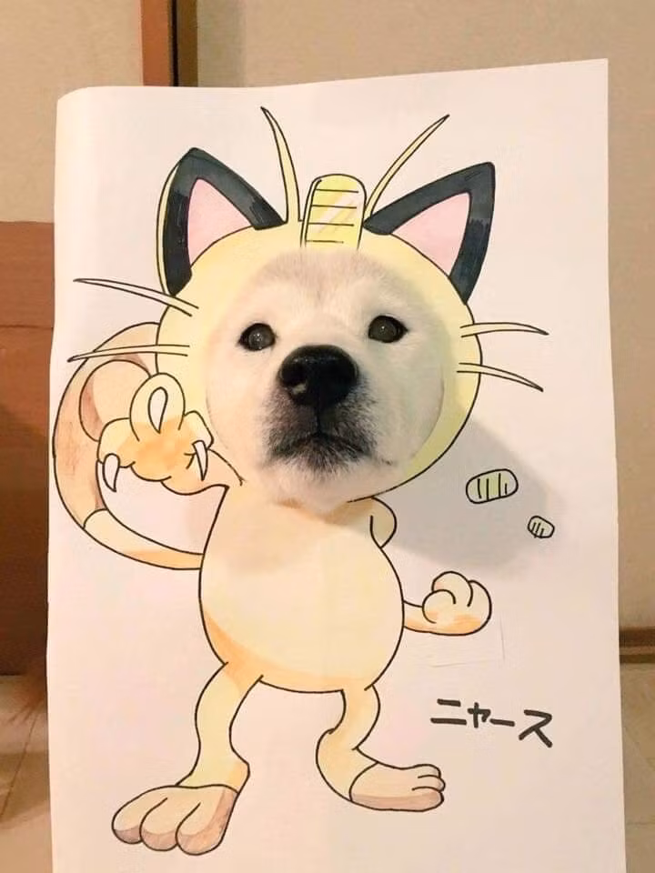 Meo, meo... Ngầu chưa!