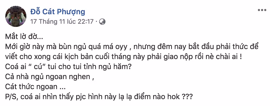 Cát Phượng thường xuyên mắc lỗi chính tả khi viết status.