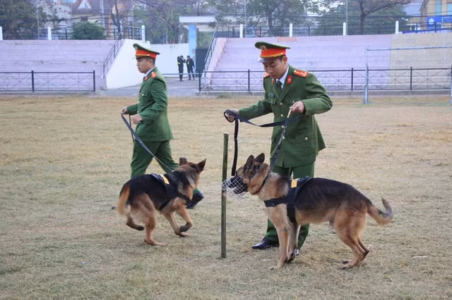 Chó nghiệp vụ cũng được huy động công tác an ninh trong phiên xử.