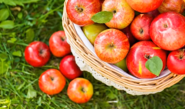 Các món ăn tuyệt vời nhất dành cho "trái tim" của chị em phụ nữ ảnh 6