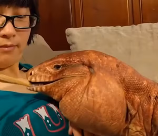 Tôi không kén ăn đâu.